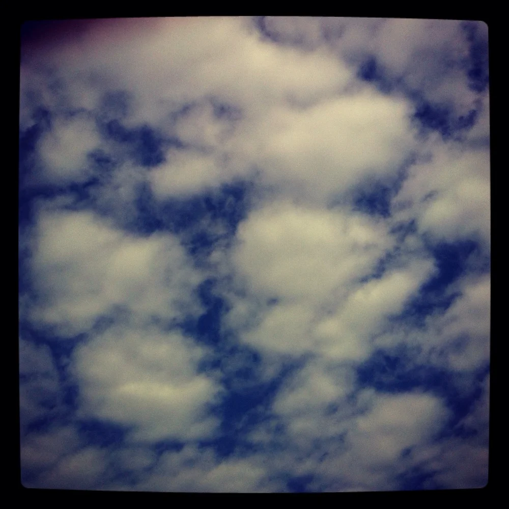 We all agreed this weekend that summer is not over. I'm glad. I'm also glad that it's already Tuesday because that means Friday will be here soon, and I'm taking that day off. Because as you know now, summer is not over and I'm going back to The Ham…