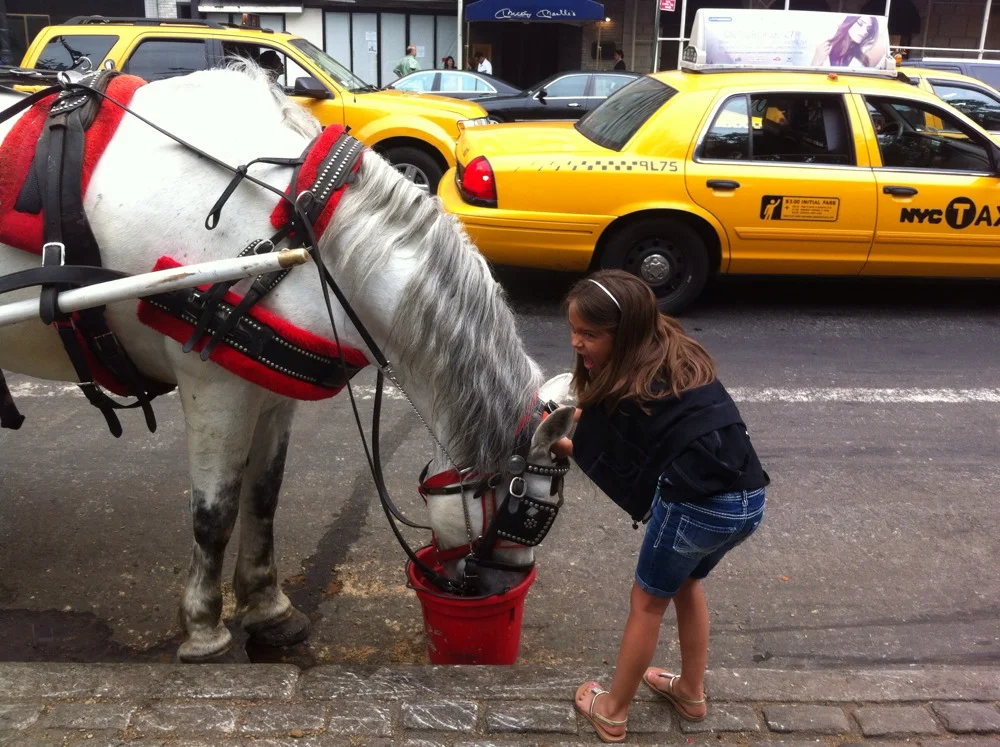 Day 2: Madison in Motion