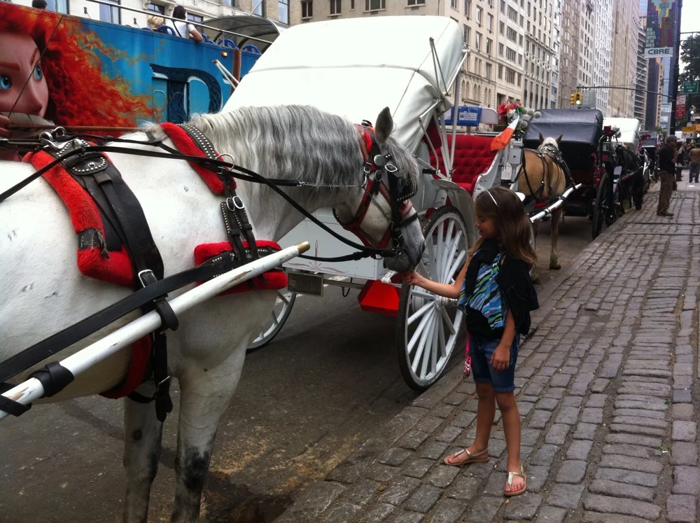 Day 2: Madison in Motion