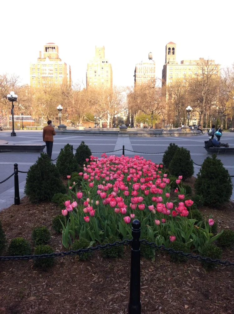 I'm procrastinating. Stalling. Lingering on a bench in Washington Square Park. This morning is as close to perfect as it gets. As warm as should be. As cool as it needs to be. Wish you were here.
Ok. Time's up.