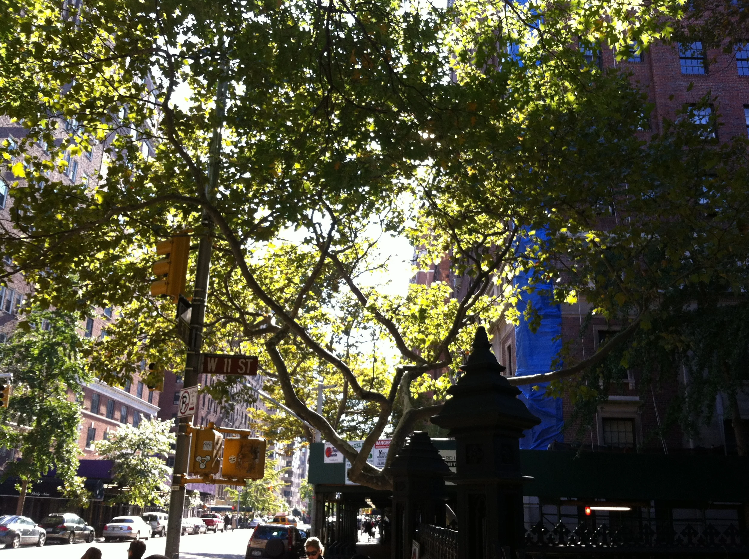 Those are the words the Soul Cycle instructor said during this morning's class. They stuck with me. 
Stronger.
Heathier.
Happier.
Words for me to live by beyond the 45-minute-kick-your-ass session. I feel good.
Oh, and it's a beautiful sun…