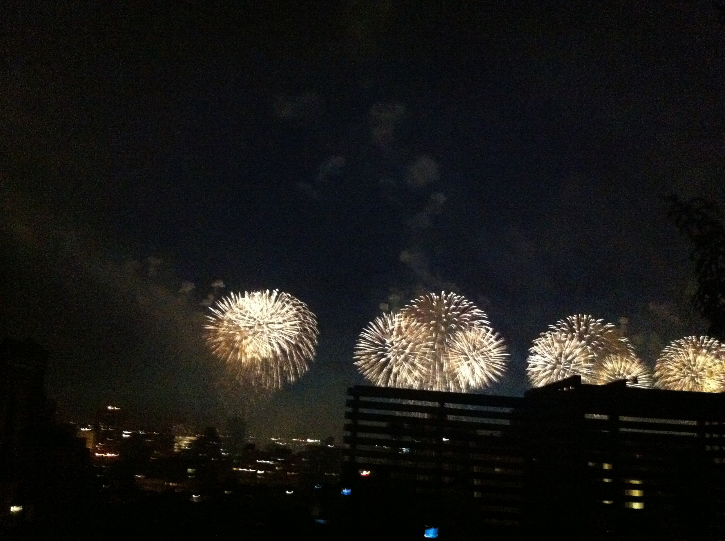 Freedom