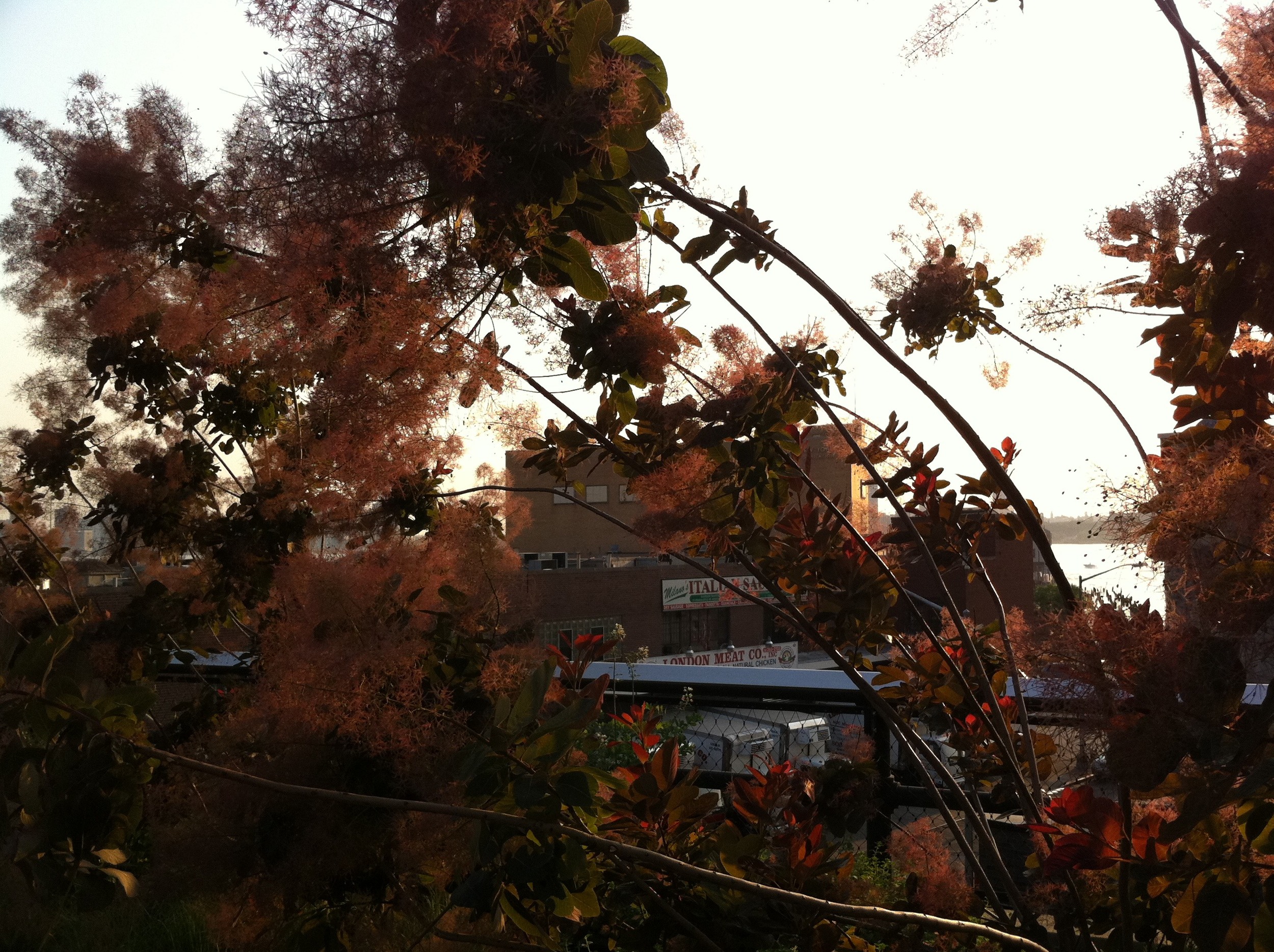 Highline Part 2