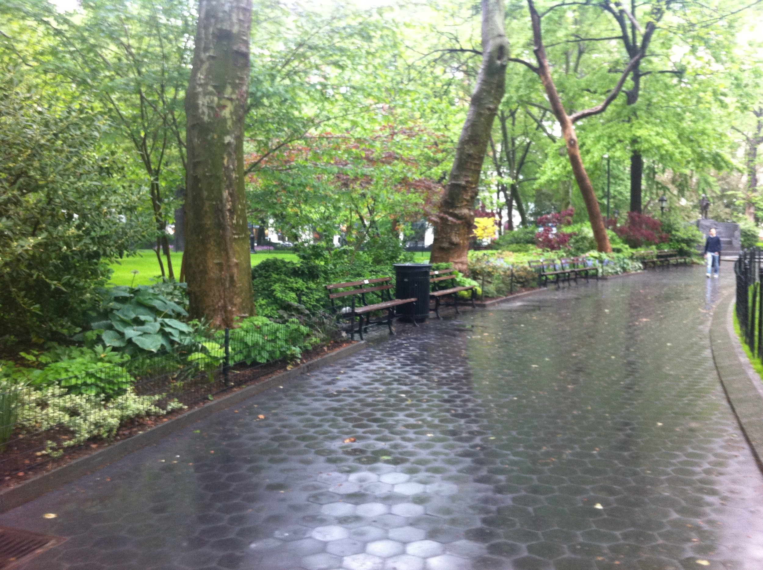 Rainy Day Adventure