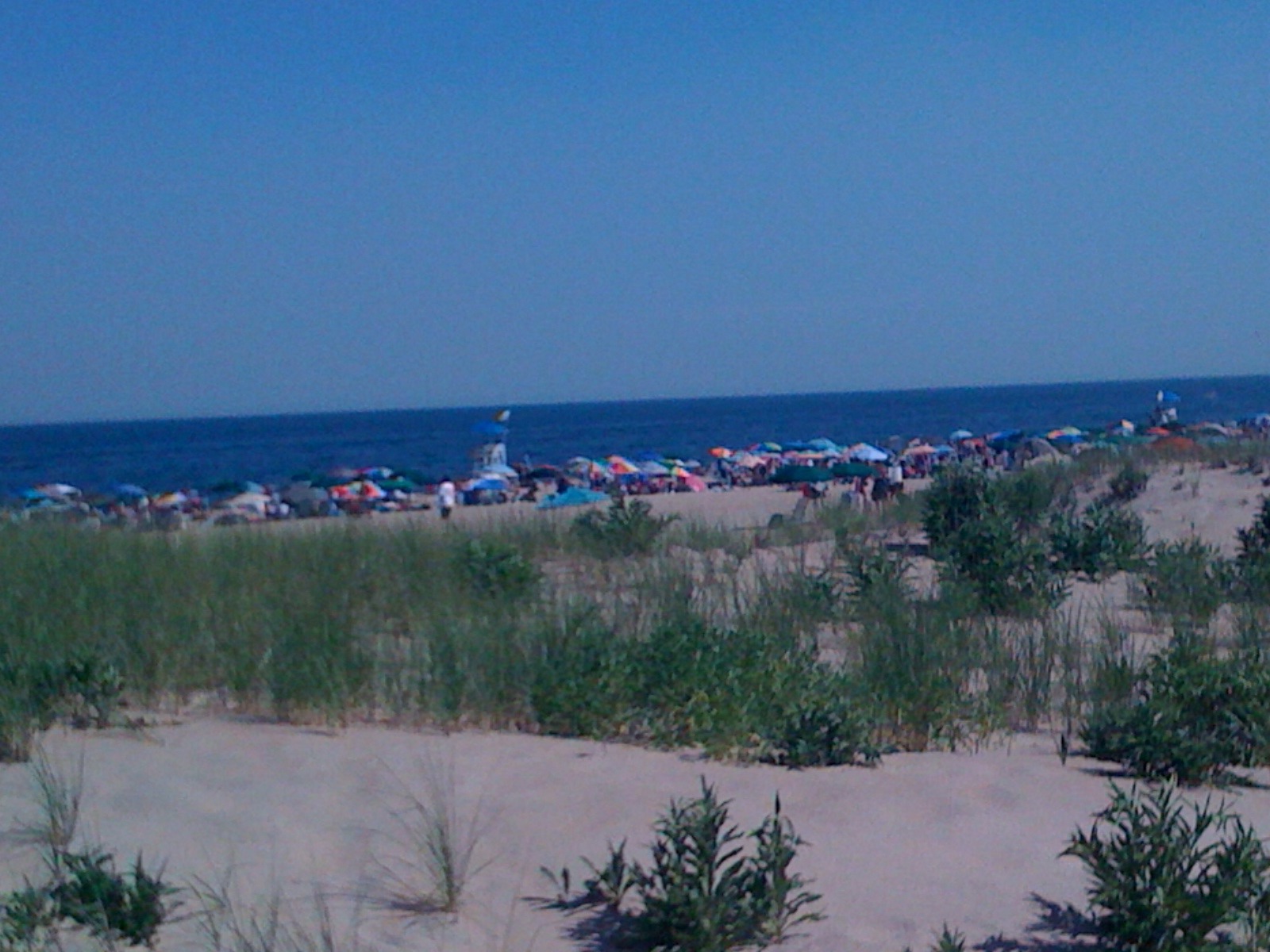 Happy Fourth of July!
