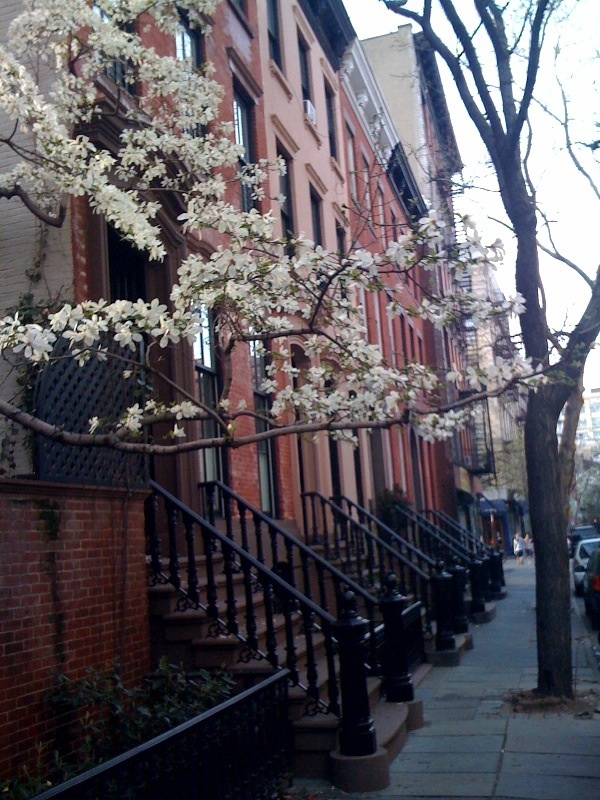 Spring Has Sprung