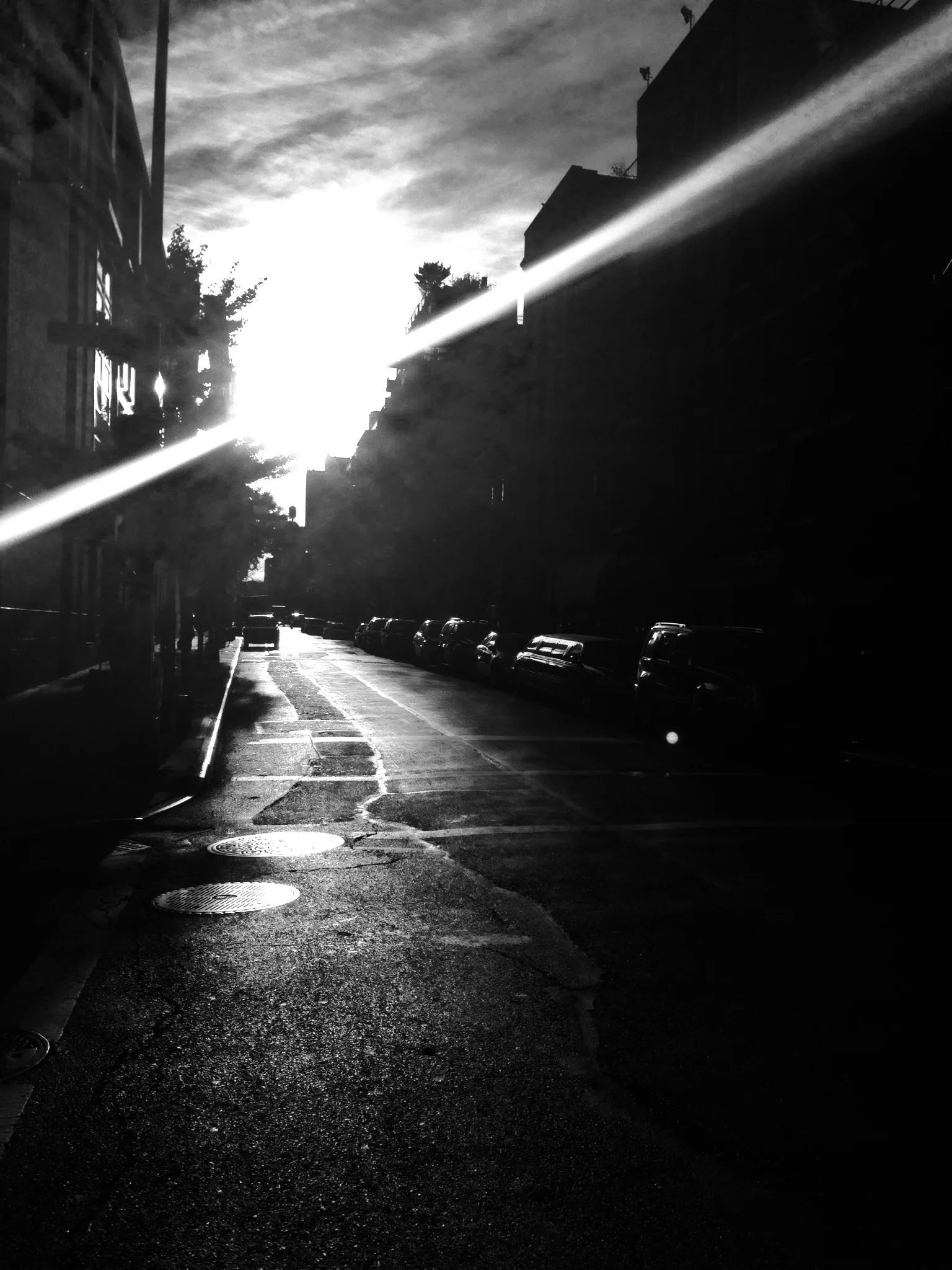 photo.JPG