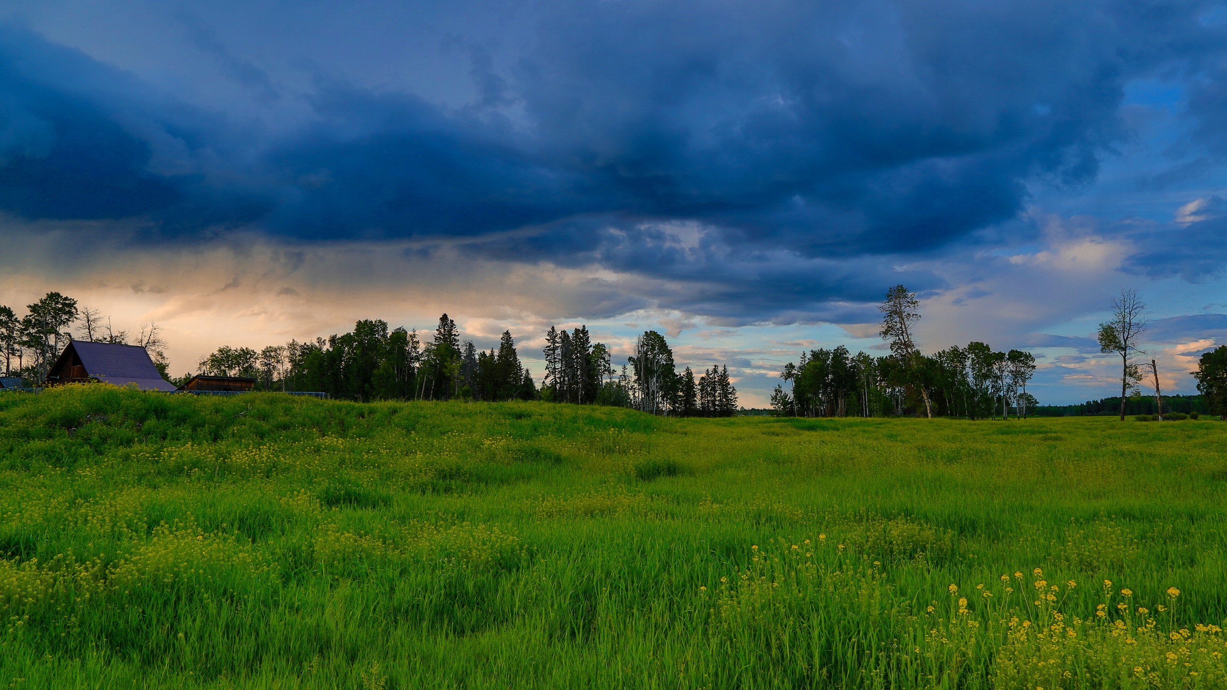 Thunder Clouds