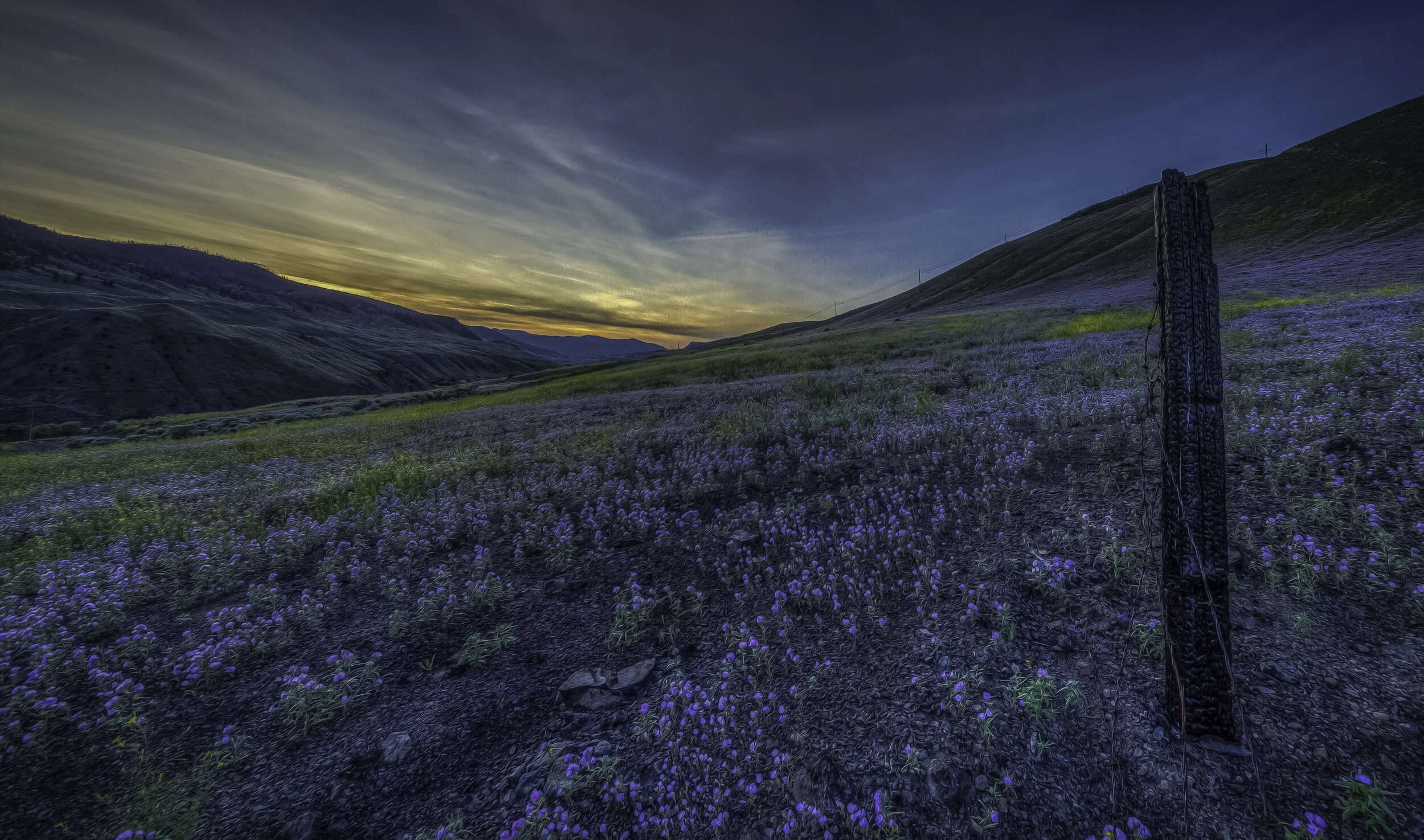 20180511-20180511-IMG_9738_39_40_tonemapped-Edit.jpg