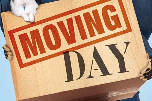 moving-day-contest.jpg