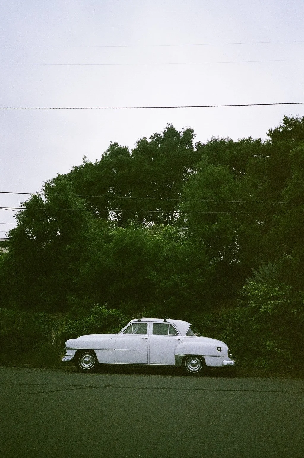 54180004.jpg