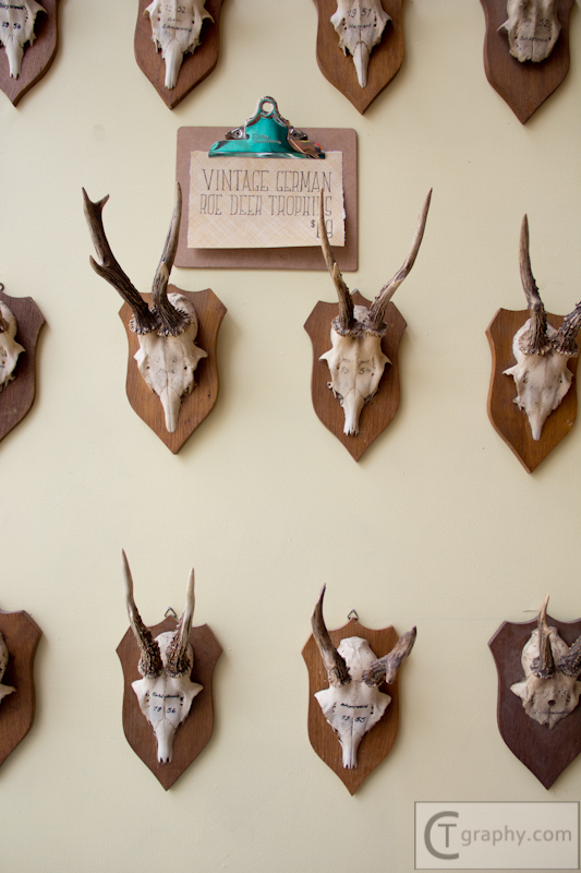 2013-0148-CT-Tigertree-05-06-2013 (9 of 49).jpg
