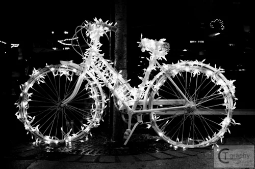 Holiday Hop 2010 LIGHTS (1 of 2).jpg