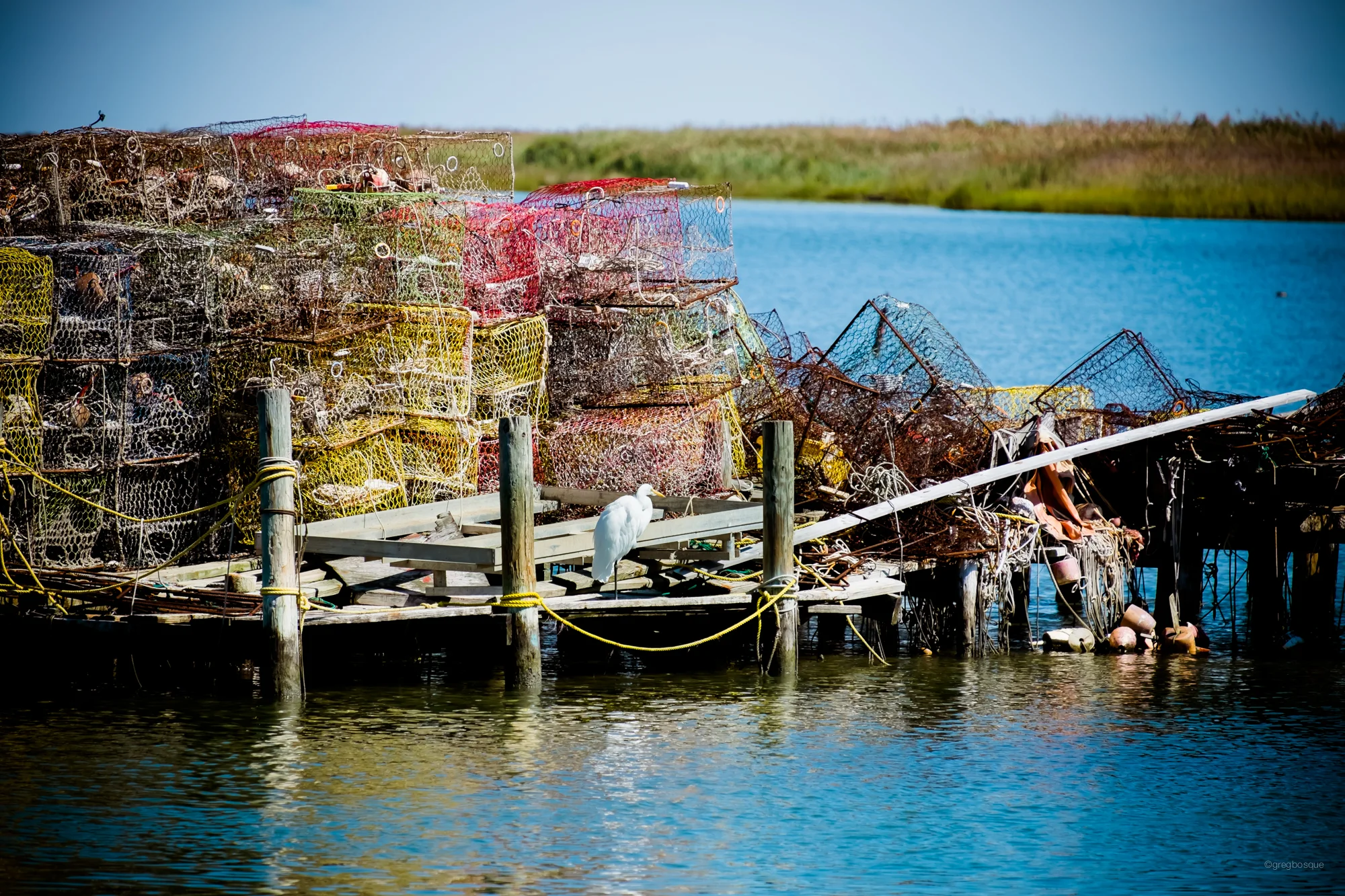 DSCF9184.jpg