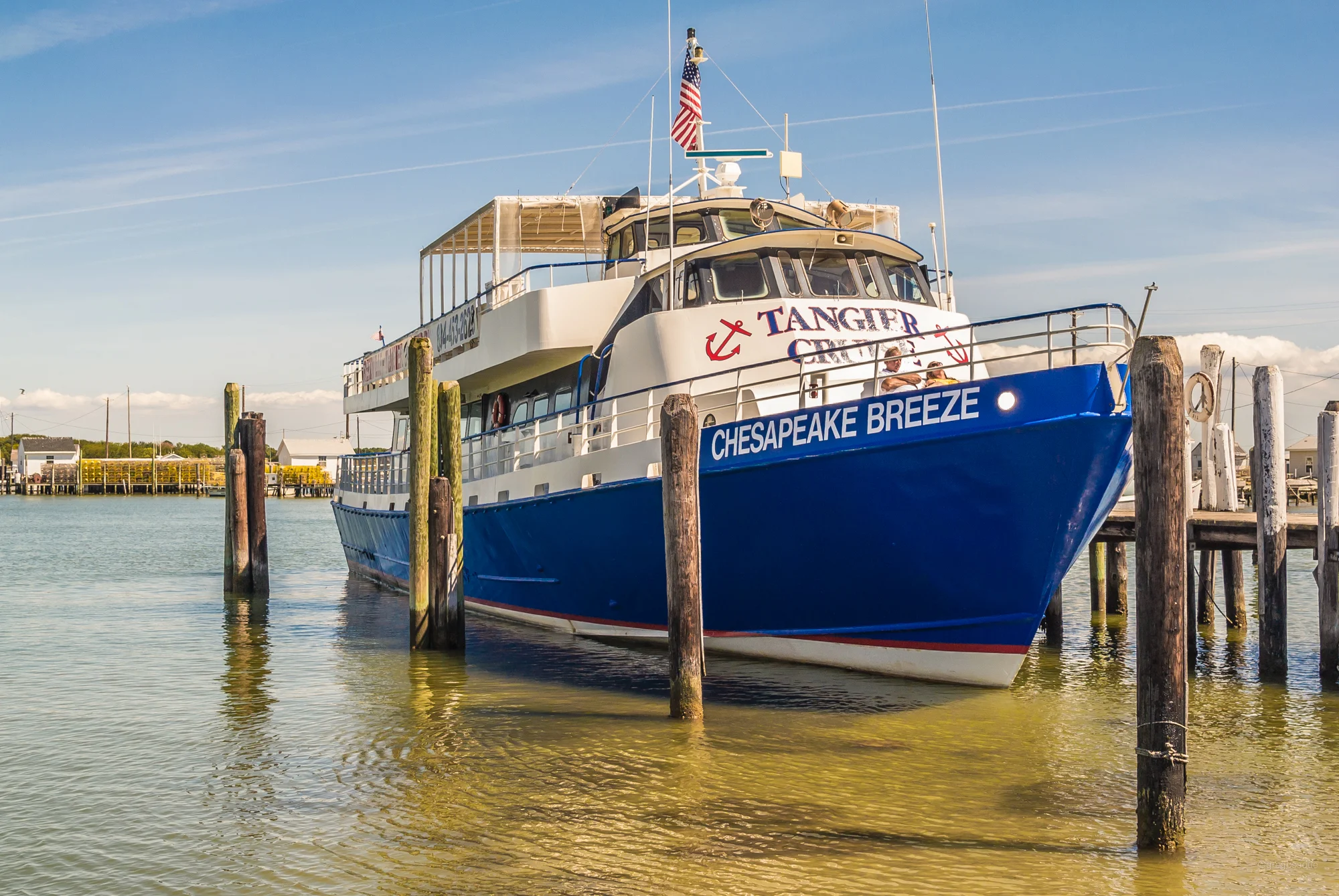 DSC_0349.jpg