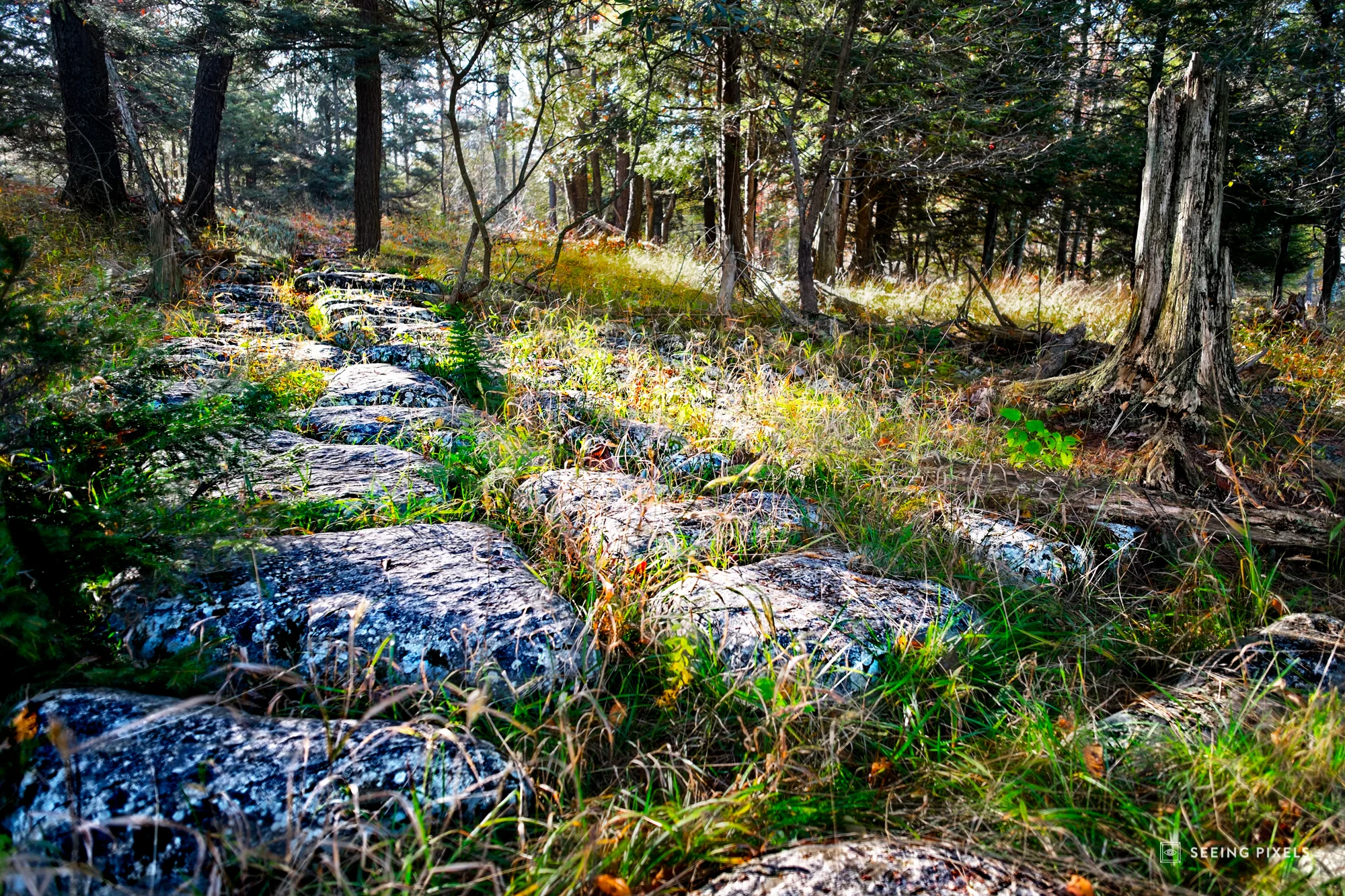 DSCF9860-Edit.jpg