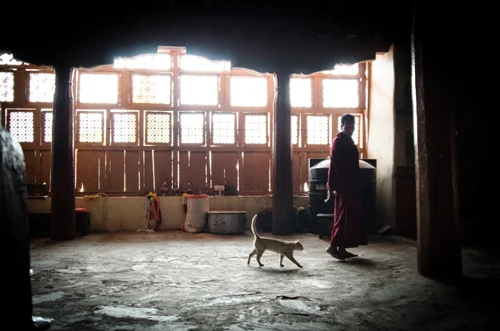 Leh-9-30.jpg