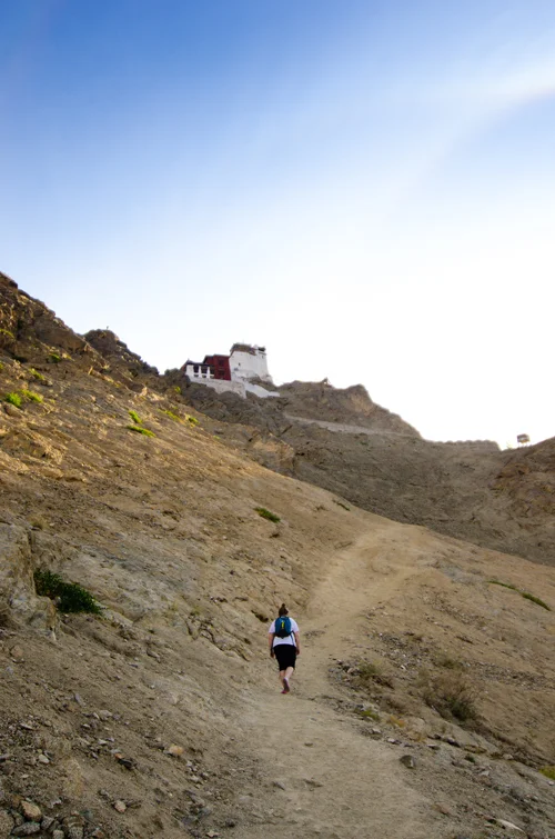 The walk up to Tsemo Gompa and Fort