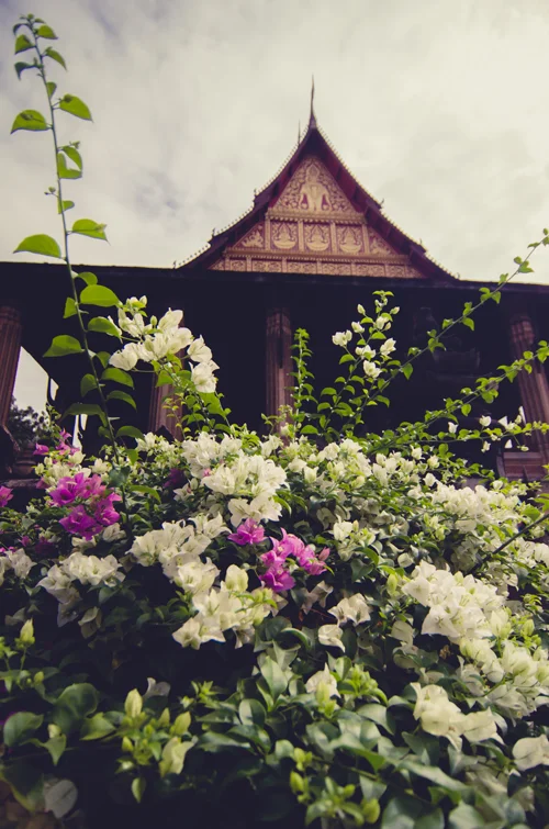Vientiane-59.jpg