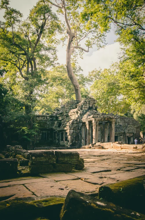 Siem Reap-93.jpg