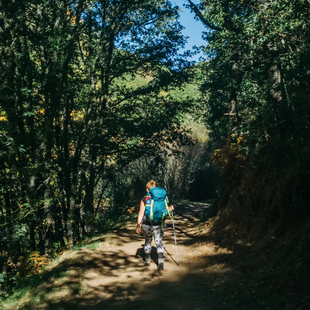 Somewhere near O Cebreiro