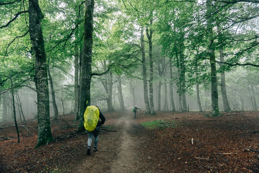 Day one - nearly there