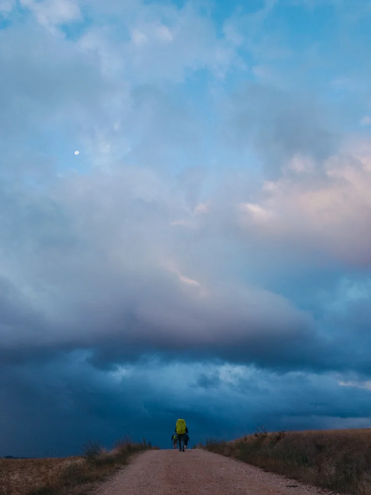 Somwehere between Los Arcos and Viana