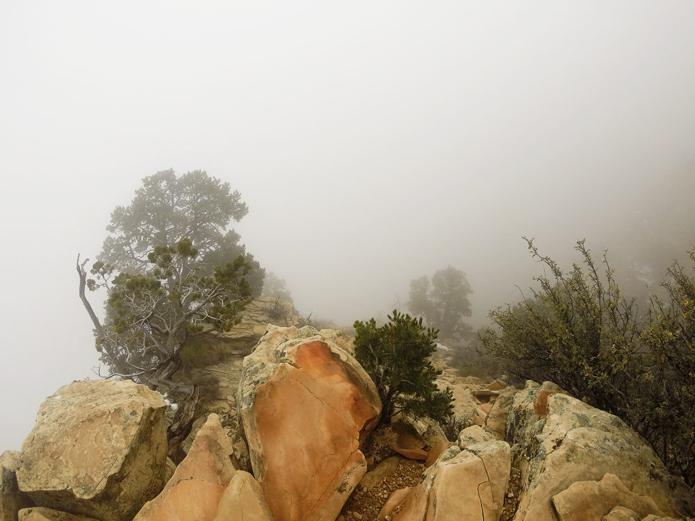 Peering over the edge, about 1/4 mile below the South Rim. Grandview Trail.