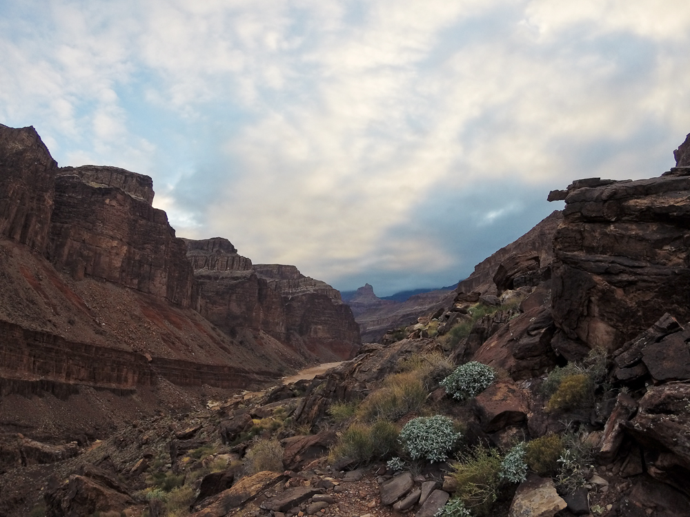 Sunrise. Tonto Trail. 12 miles from rim, 500 feet above river. Eastward View
