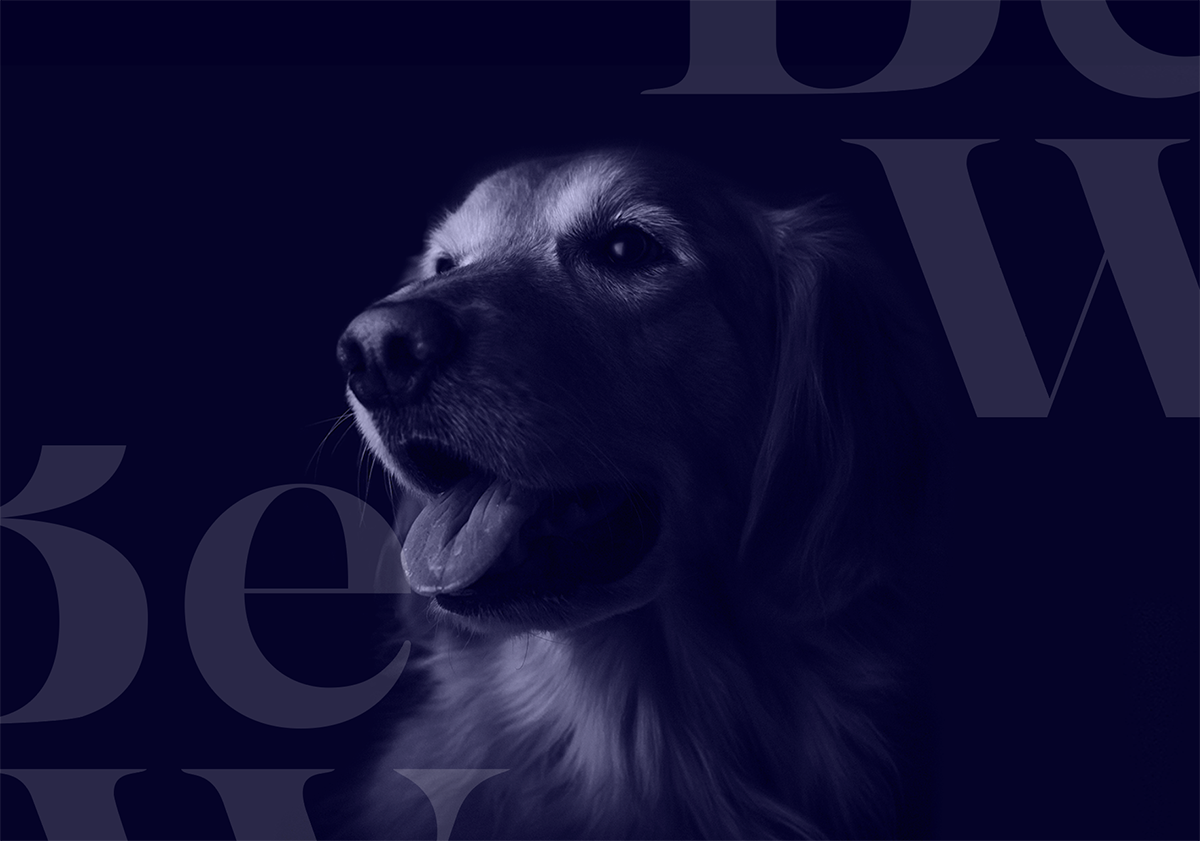 BWF_Herowithbrand.png