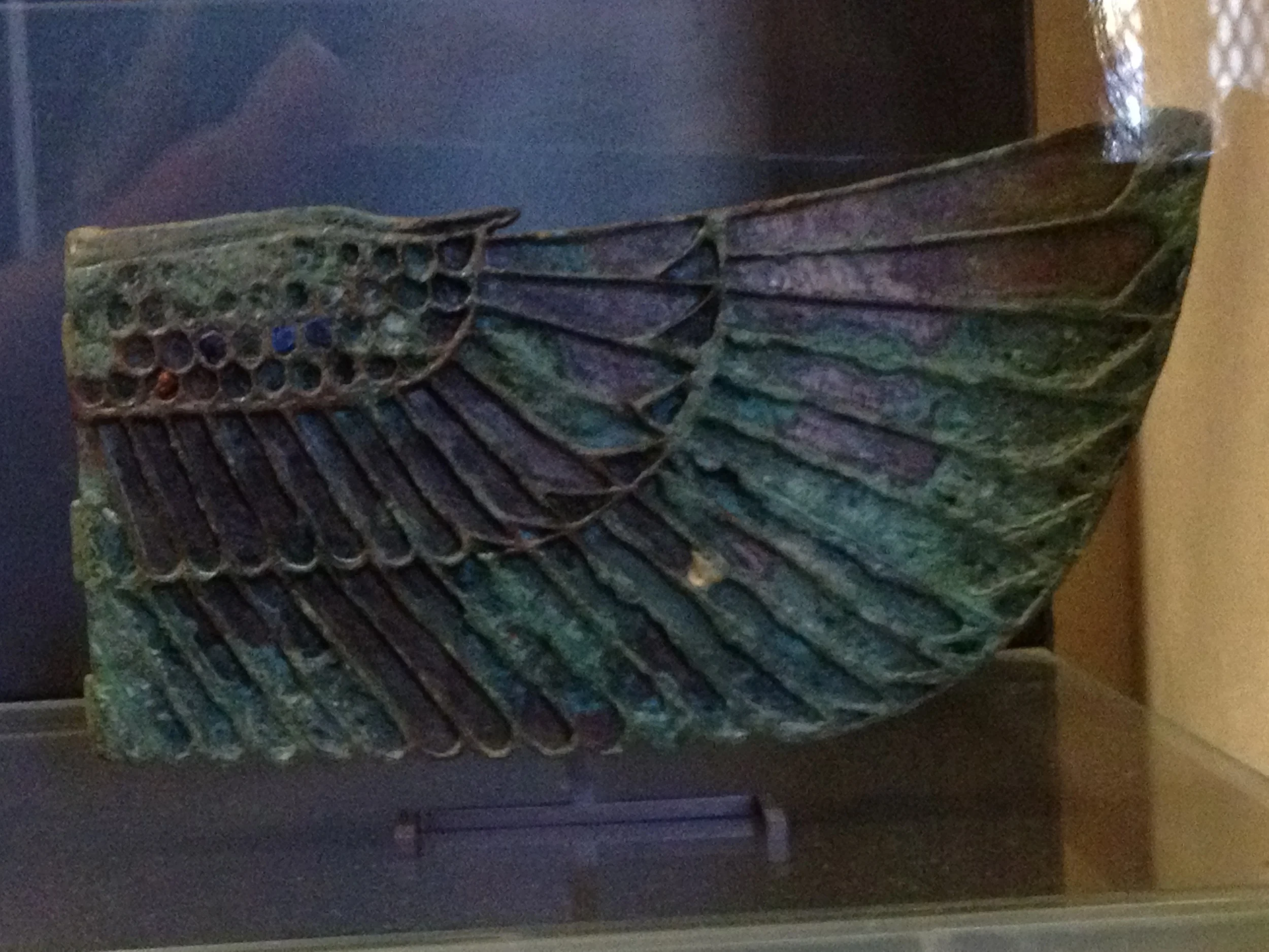 colorful wing.JPG
