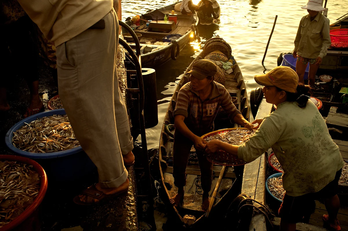 20110827-unloading fish.jpg