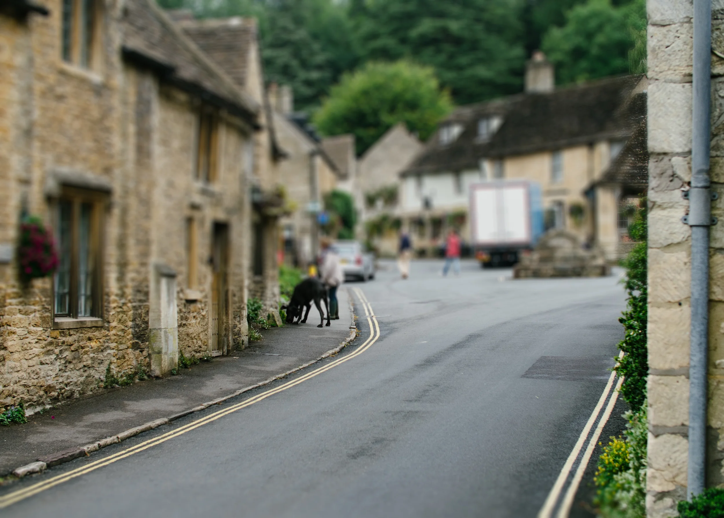 _8200091-Edit.jpg