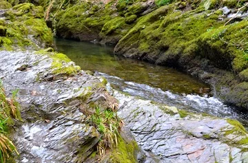 ..The Spring Narrative….