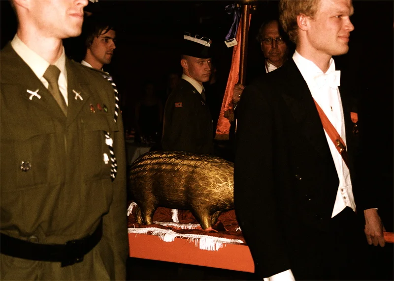 gris0411.jpg
