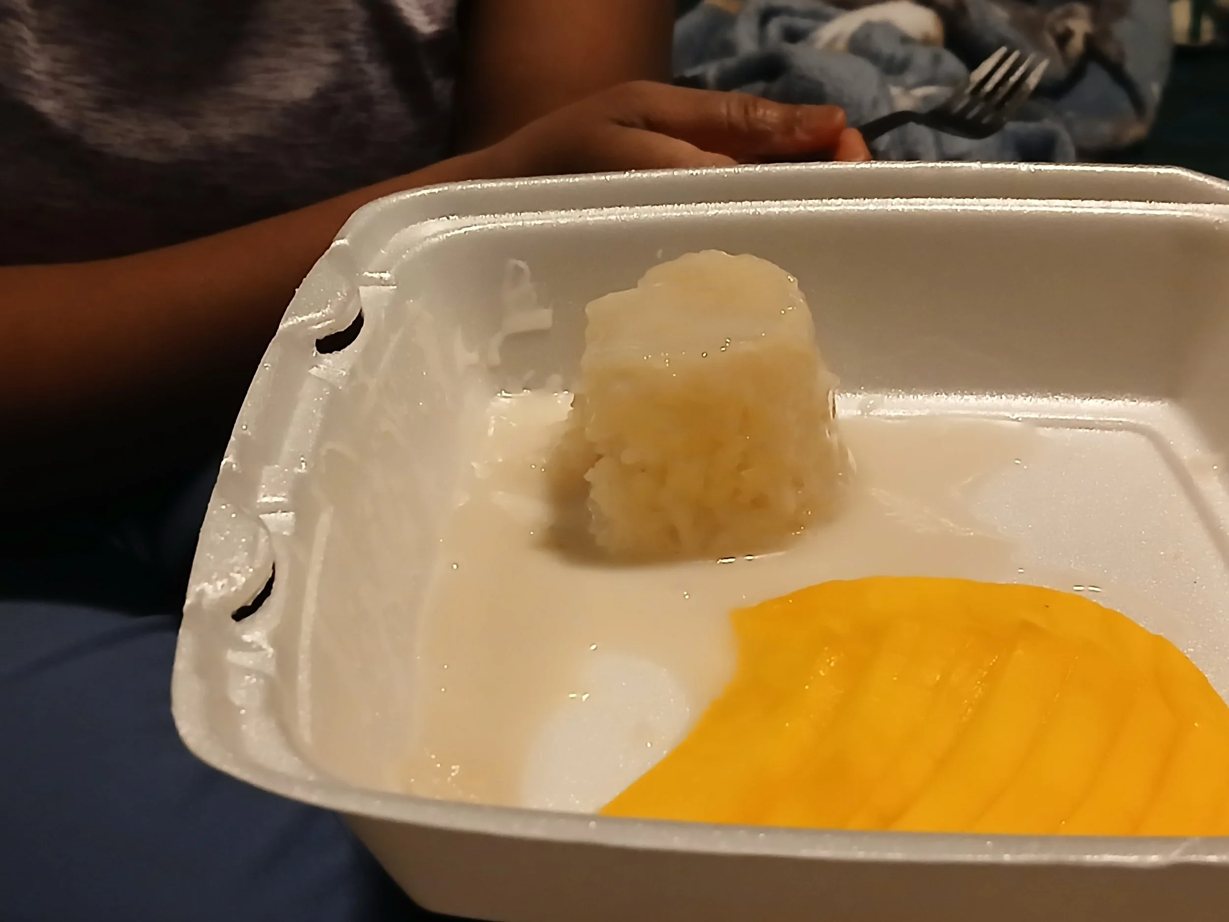 0102 Mango Stick Rice.jpg