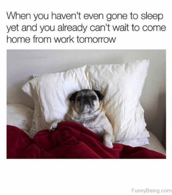 Monday's Meme: About my actual thoughts when my head hits the pillow