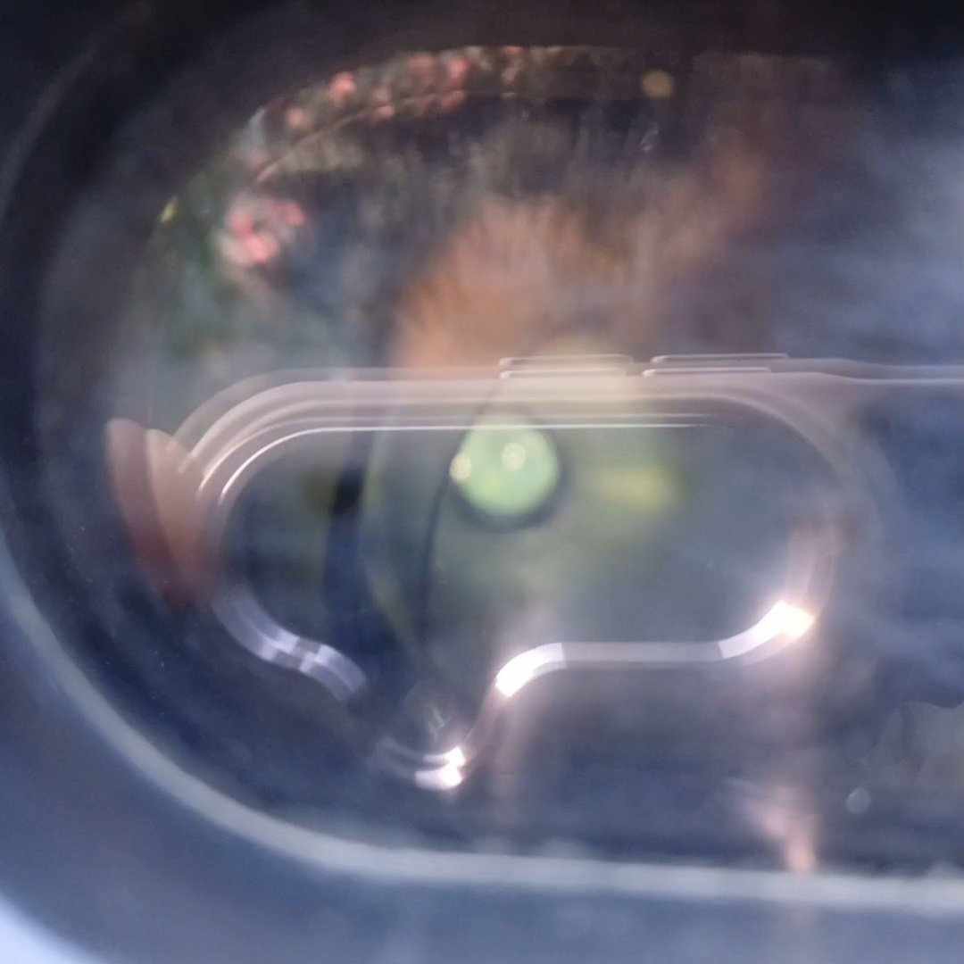 Slide 17