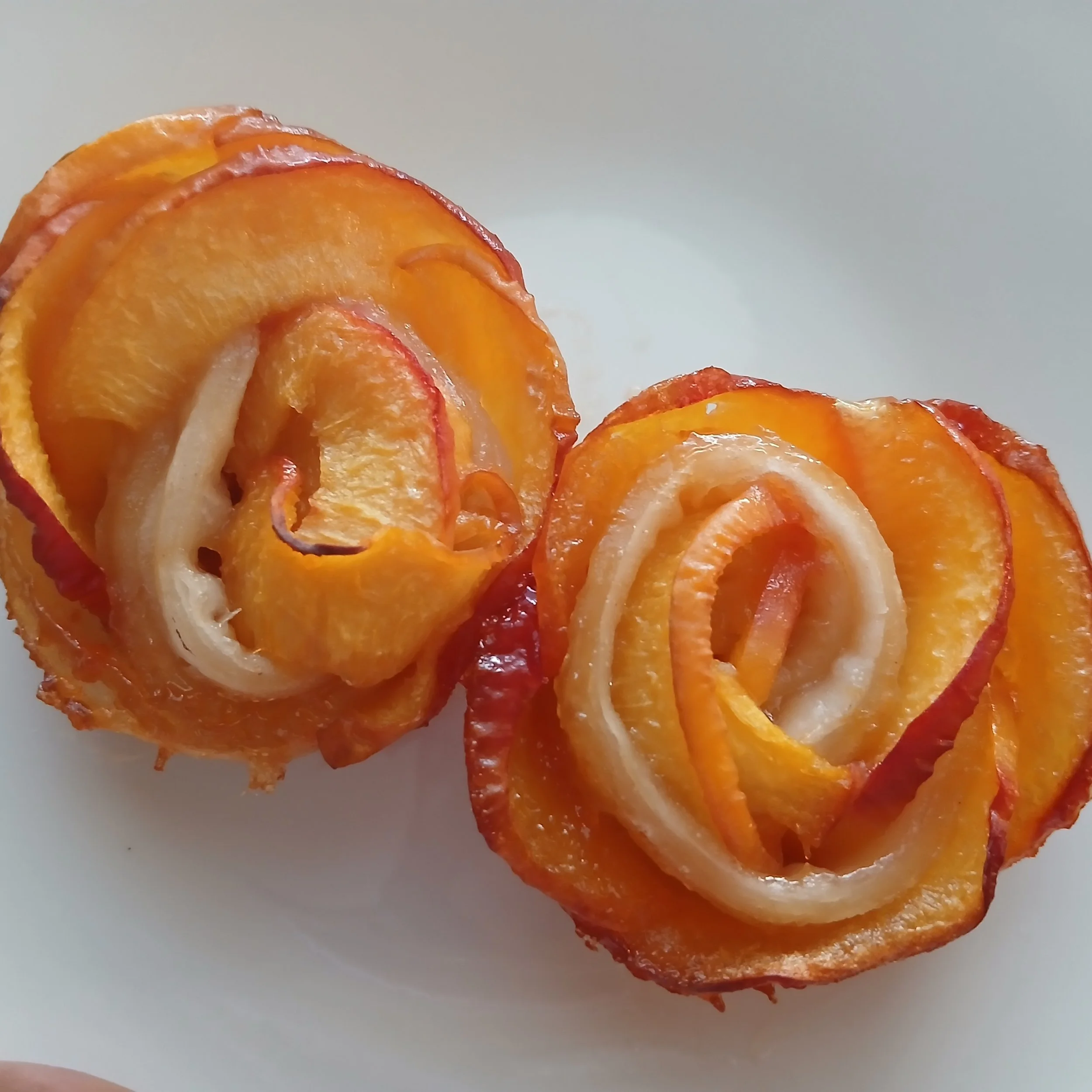 07.18.25 | Peach Roses