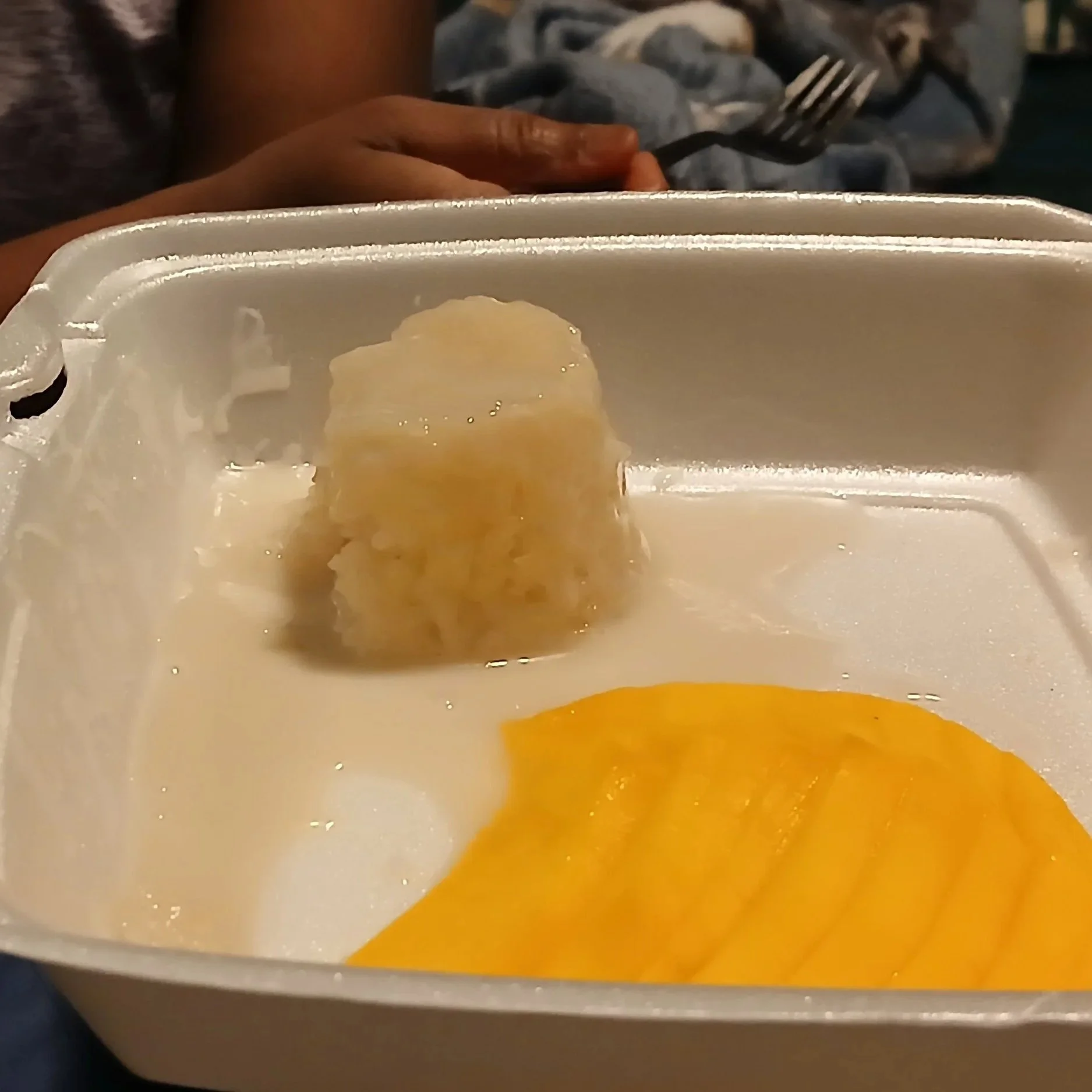 01.02.26 | Mango Sticky Rice