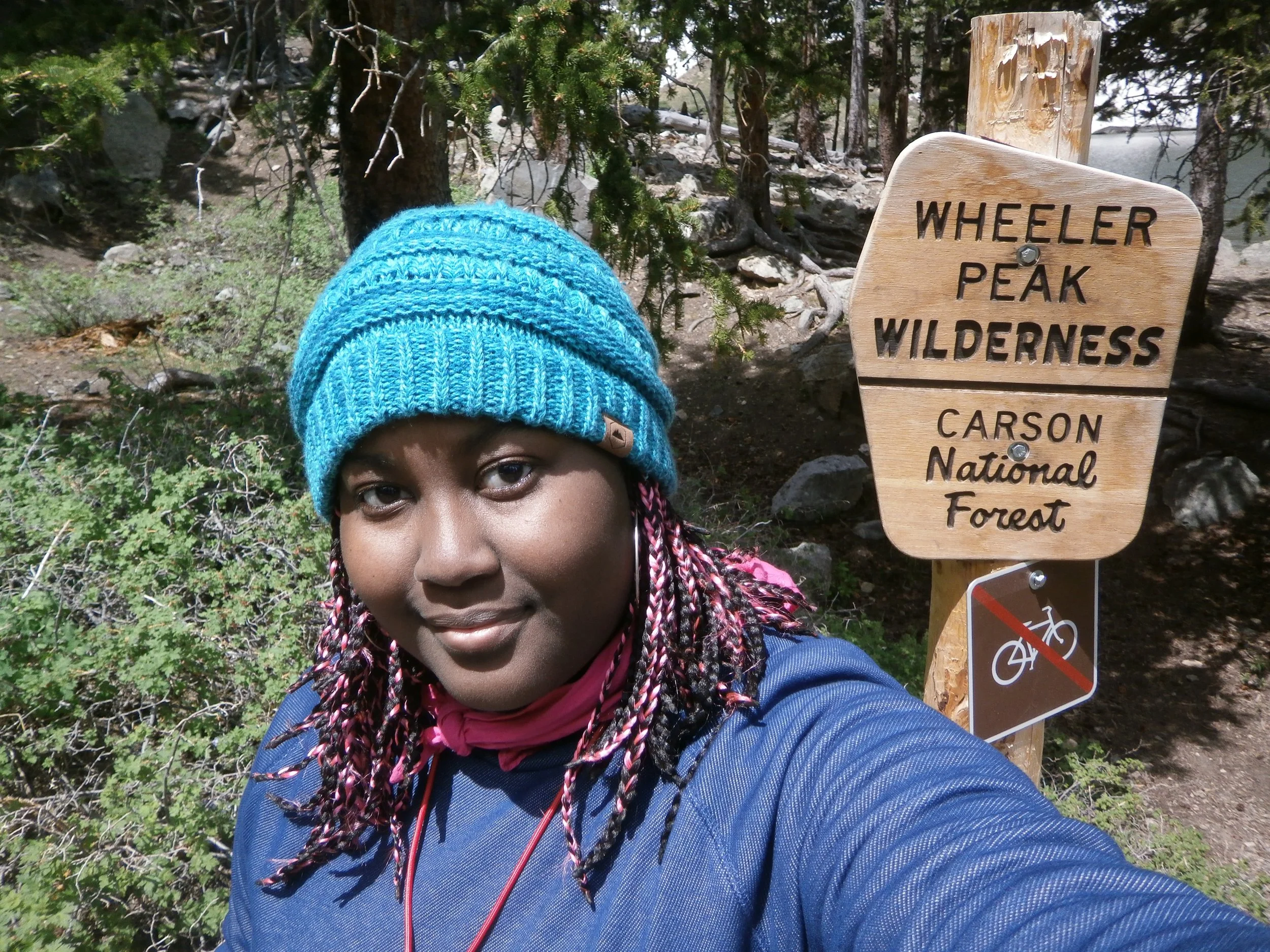 Wheeler Peak Mountain, New Mexico