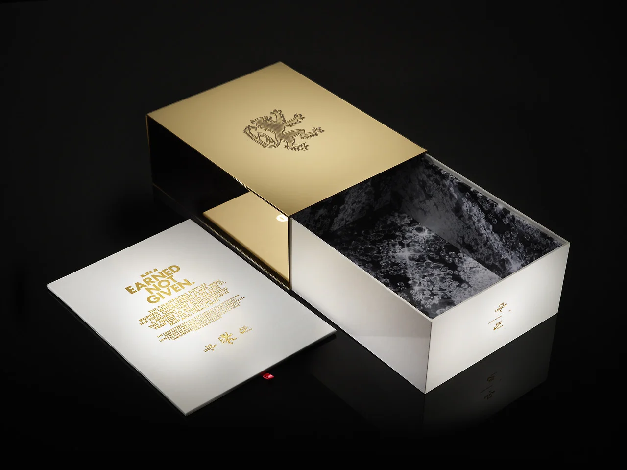 Lebron X Packaging