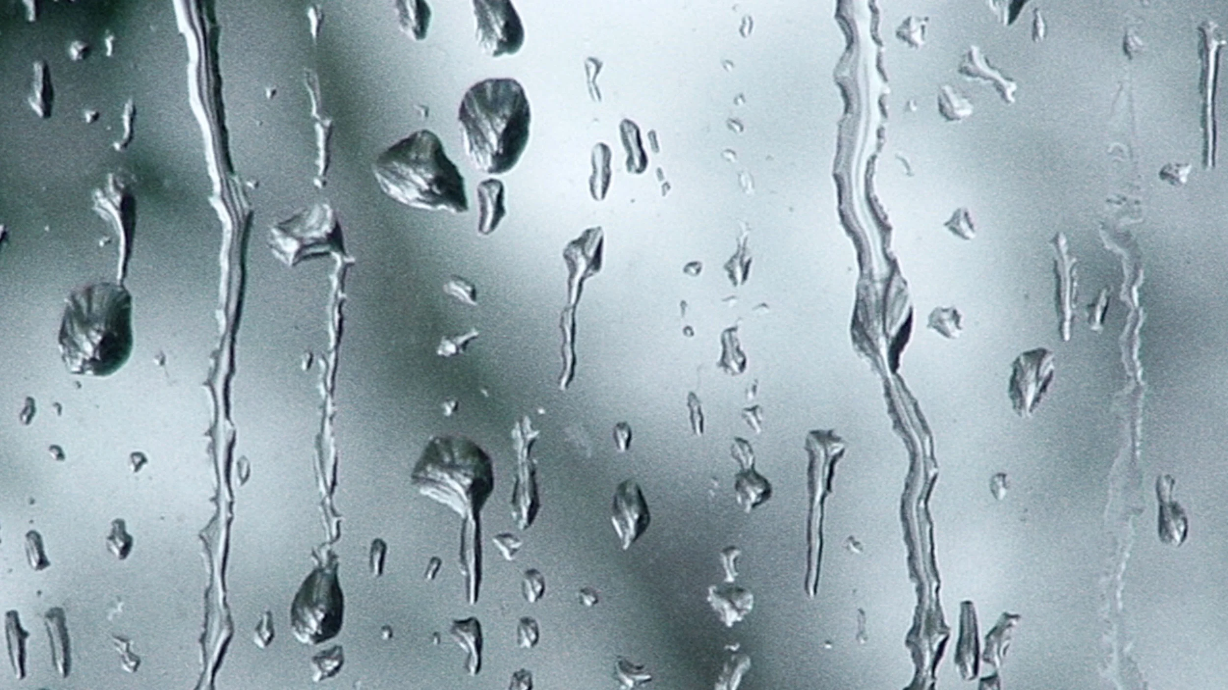 NSW / Sneaker Boots HO15