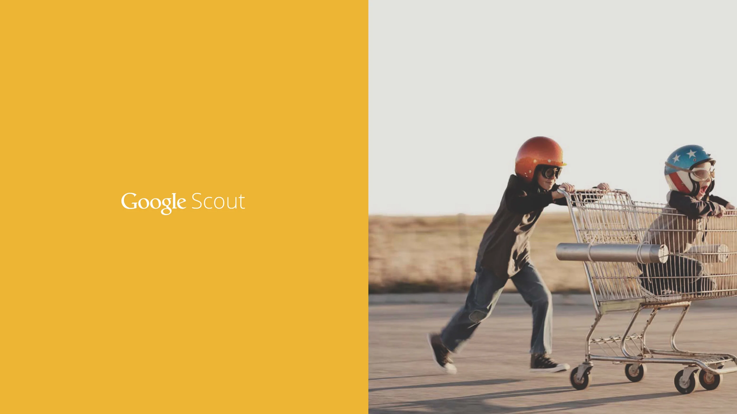 Google Scout