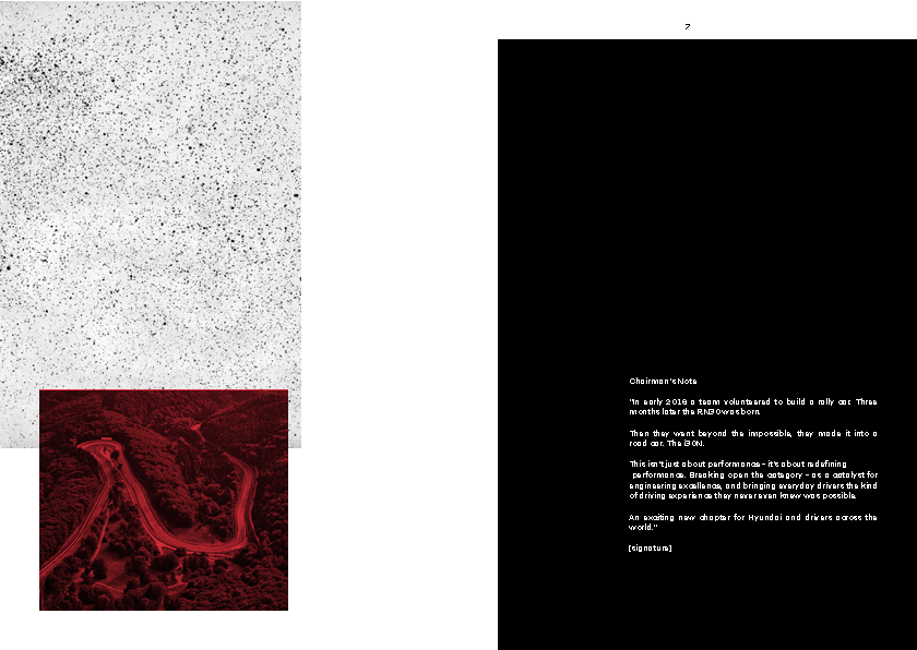 Hyundai 'N' Brand Book