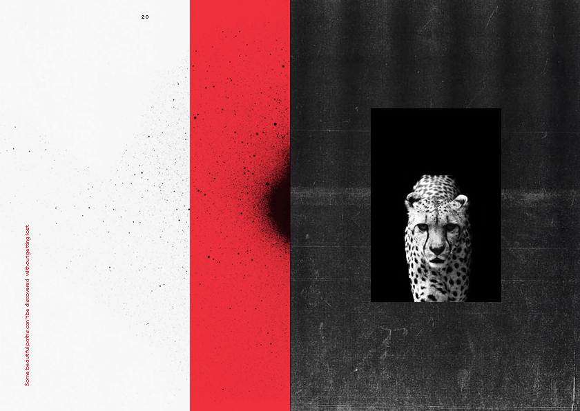 Hyundai 'N' Brand Book