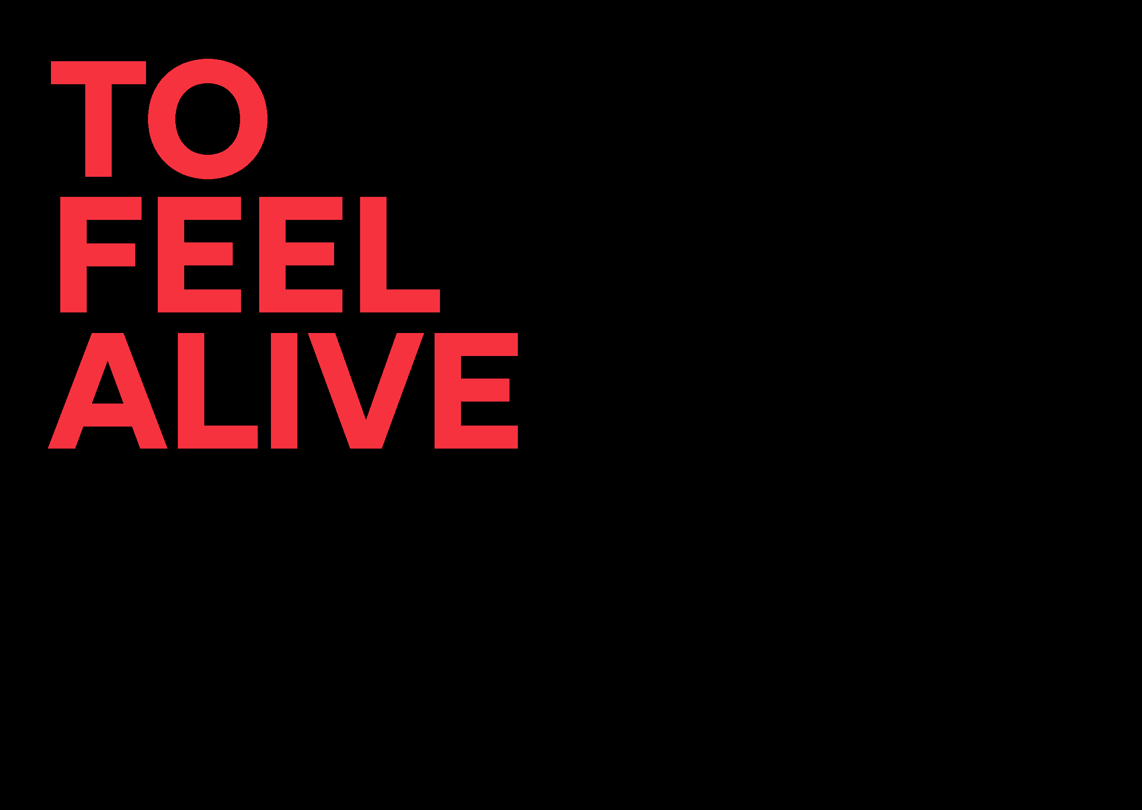 Hyundai 'N' Brand Book