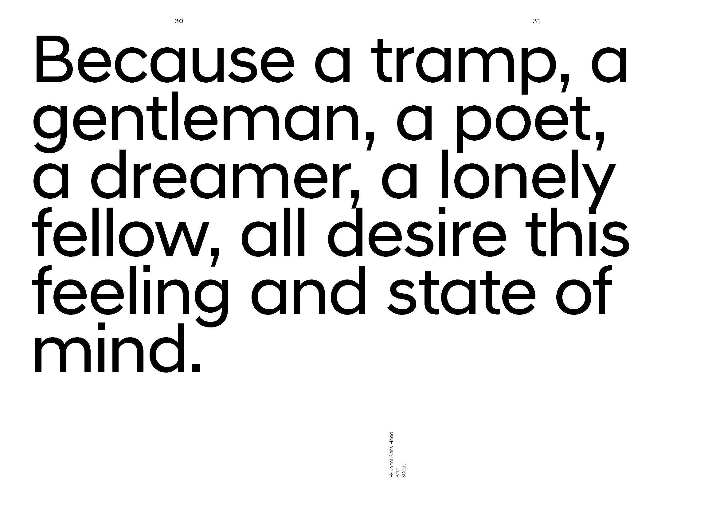 Hyundai 'N' Brand Book