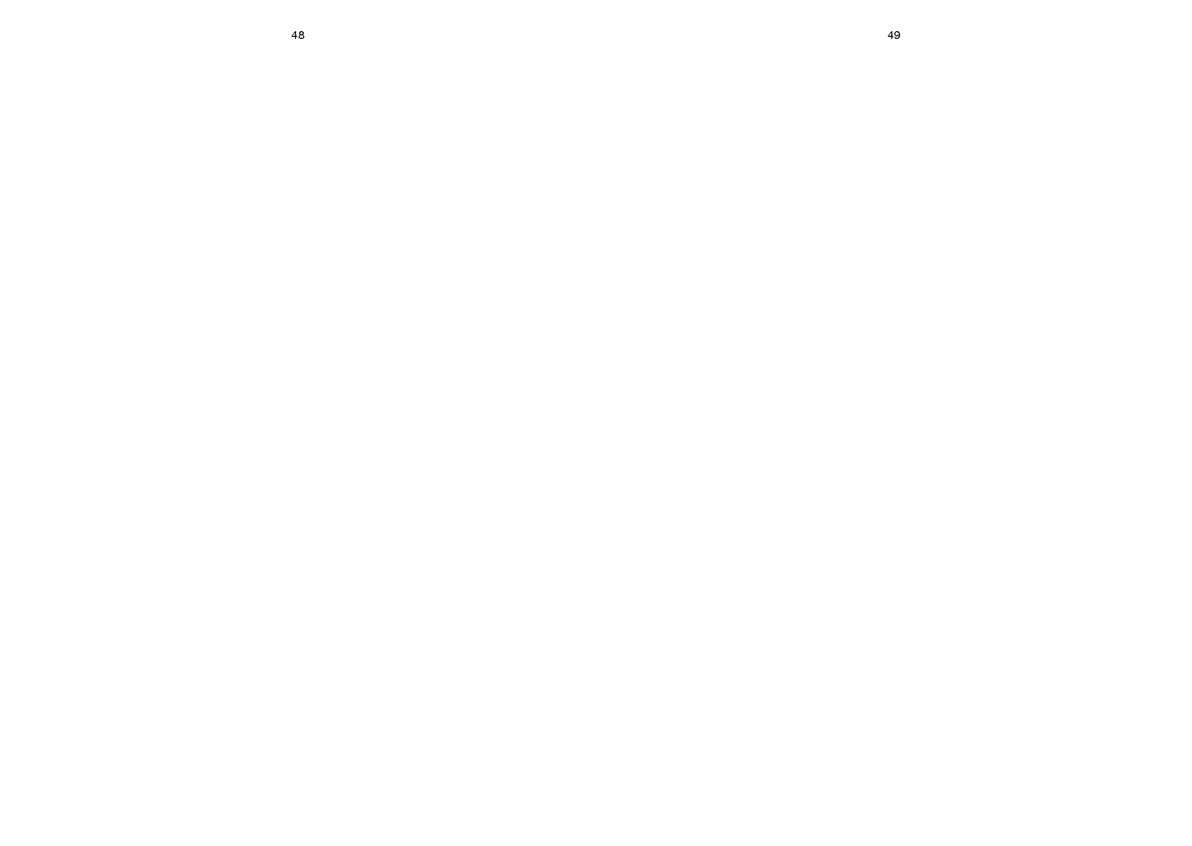 Hyundai 'N' Brand Book