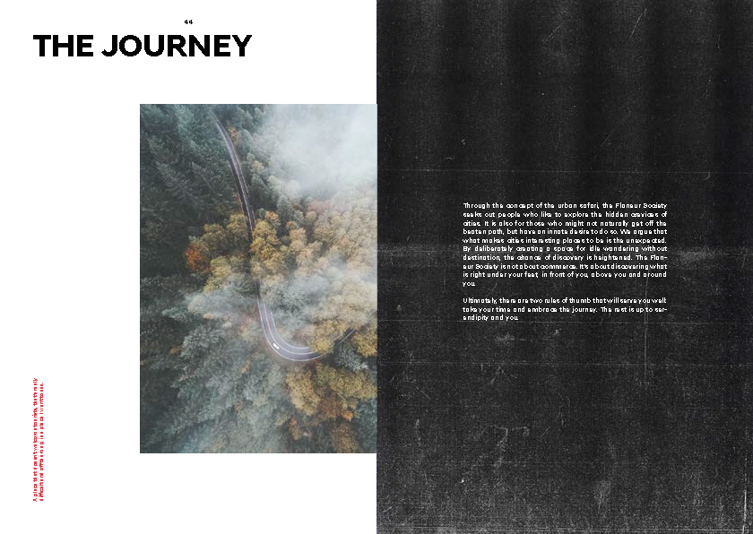 Hyundai 'N' Brand Book